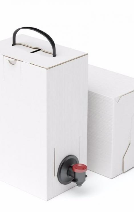 Brouilly 2018 - Bag in box 10 litres Brouilly 2018 - Bag in box 10 litres